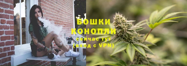 соль ск Новодвинск