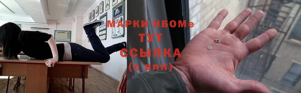 соль ск Новодвинск