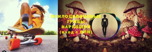 гидра Новокубанск