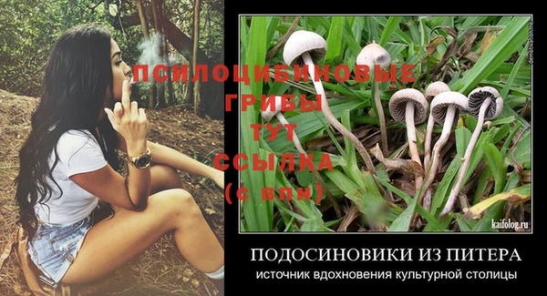 соль ск Новодвинск