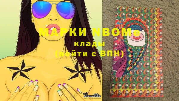гидра Новокубанск