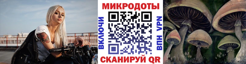 KRAKEN онион  даркнет сайт  Петровск  Псилоцибиновые грибы MAGIC MUSHROOMS 